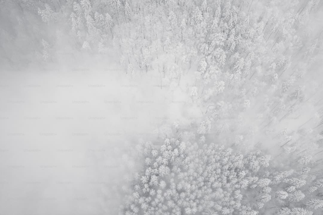 盈利财物热度继续!券商自营悄然布局